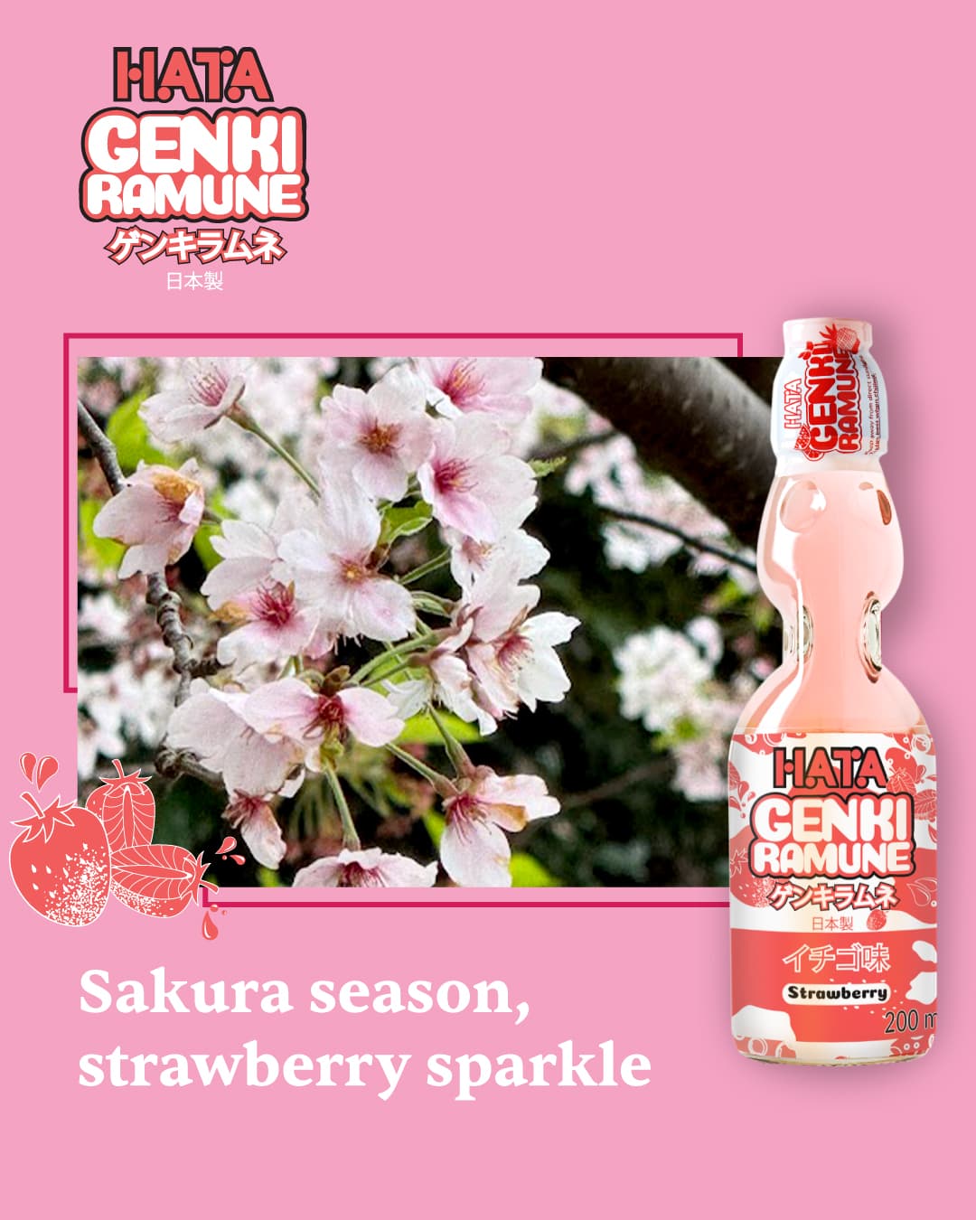 Sakura Season, Strawberry Sparkle